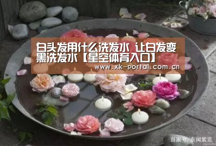 白头发用什么洗发水 让白发变黑洗发水【星空体育入口】(图4) 星空体育娱乐平台
