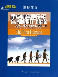 星空体育娱乐平台